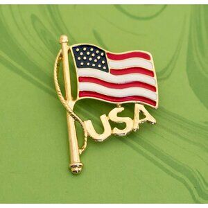 Vintage USA Flag Pole Intricate Brooch - W2